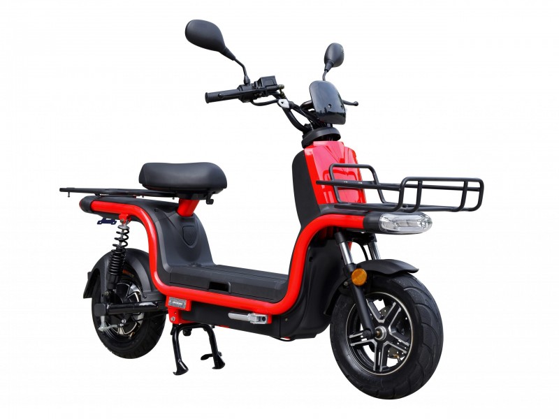 »EXPRESS«  Cargo Zweirad - BOSCH 1500W, Samsung SR