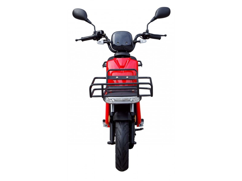 »EXPRESS«  Cargo Zweirad - BOSCH 1500W, Samsung SR