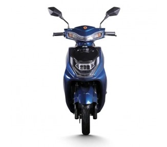 Elektroroller »EAGLE 2kw« Lithium-Akku entnehmbar (450 Euro Förderung)