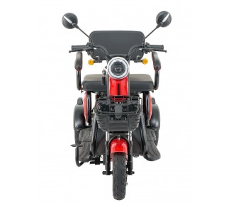 "FEIDU" - E-Mobil TRIKE - 25 km/h