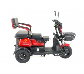"FEIDU" - E-Mobil TRIKE - 25 km/h