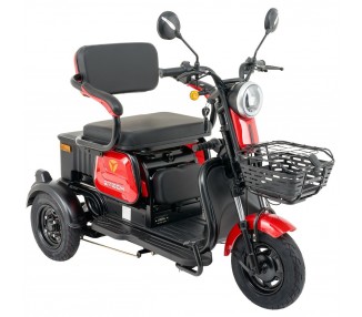 "FEIDU" - E-Mobil TRIKE - 25 km/h
