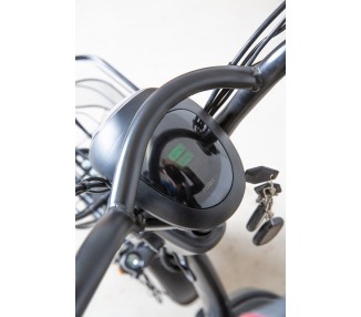 E.F.O  EB250S Elektroroller mit Lithium-Akku