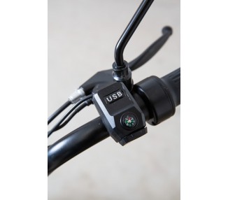E.F.O  EB250S Elektroroller mit Lithium-Akku