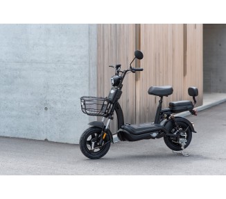 E.F.O  EB250S Elektroroller mit Lithium-Akku