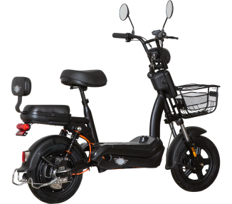 E.F.O  EB250S Elektroroller mit Lithium-Akku
