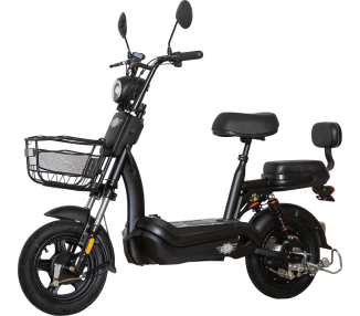 E.F.O  EB250S Elektroroller mit Lithium-Akku