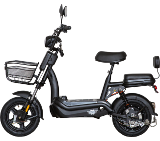 E.F.O  EB250S Elektroroller mit Lithium-Akku