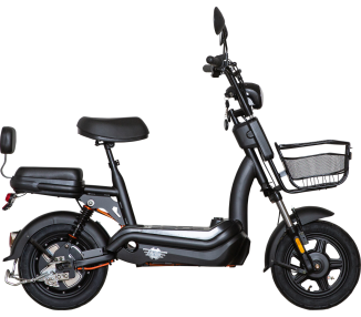 E.F.O  EB250S Elektroroller mit Lithium-Akku