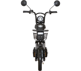 E.F.O  EB250S Elektroroller mit Lithium-Akku
