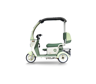 E-Trike N3 mit Dach 25 km/h