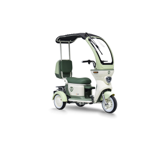 E-Trike N3 mit Dach 25 km/h