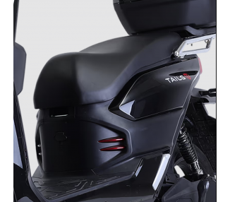 TAILG Tiger 80 km/h