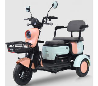 "FEIDU" - E-Mobil TRIKE - 25 km/h